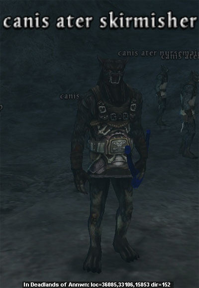 Picture of Canis Ater Skirmisher