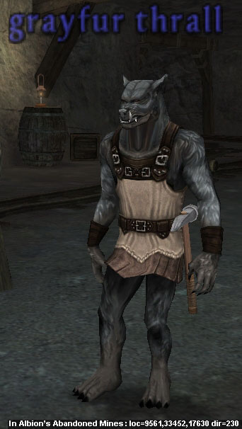Picture of Grayfur Thrall
