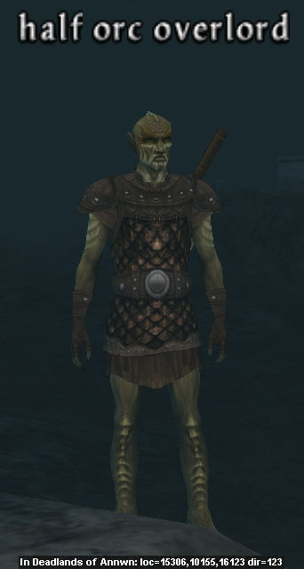 Picture of Half Orc Overlord (Alb)