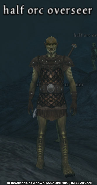 Picture of Half Orc Overseer (Alb)