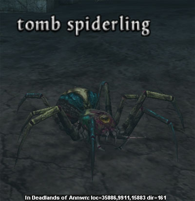 Picture of Tomb Spiderling (Alb)