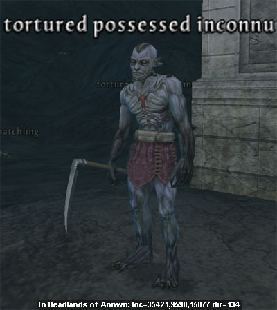 Picture of Tortured Possessed Inconnu (Alb)