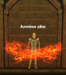 Picture of Amminus Pilus