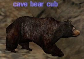 Picture of Cave Bear Cub