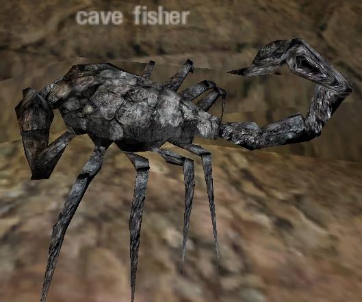 Picture of Cave Fisher