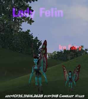 Picture of Lady Felin