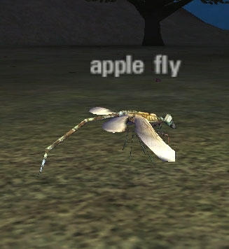 Picture of Apple Fly