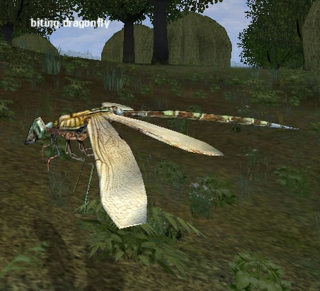 Picture of Biting Dragonfly