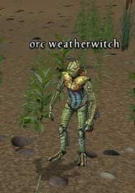 Picture of Orc Weatherwitch