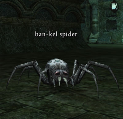 Picture of Ban-Kel Spider