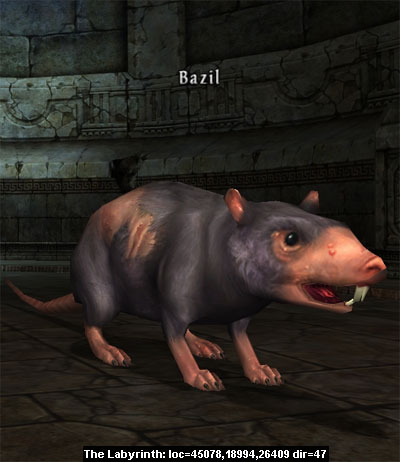 Picture of Bazil