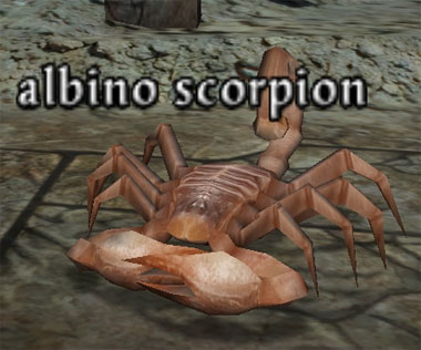 Picture of Albino Scorpion