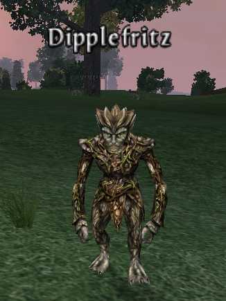 Picture of Dipplefritz