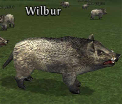 Picture of Wilbur