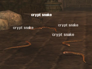 Picture of Crypt Snake