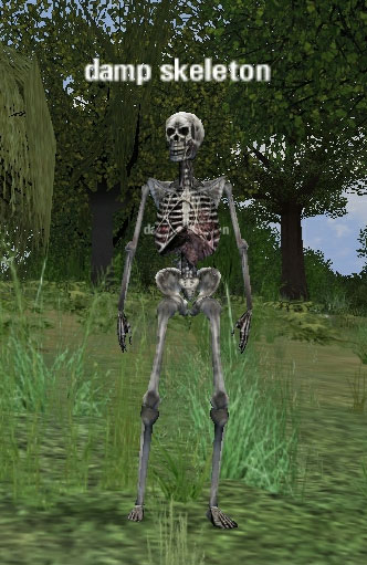 Picture of Damp Skeleton
