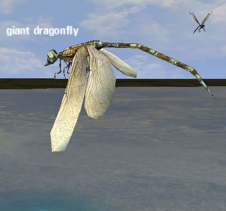 Picture of Giant Dragonfly