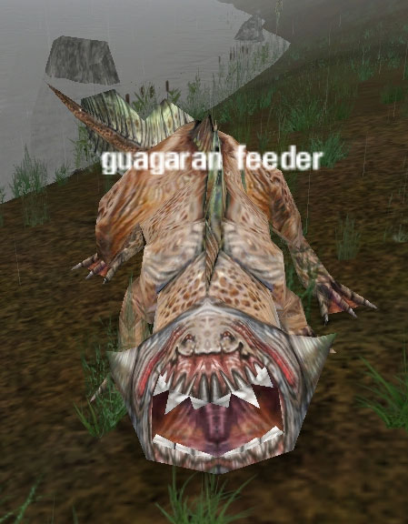 Picture of Guagaran Feeder