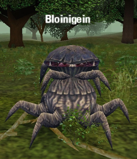 Picture of Bloinigein