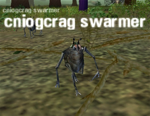 Picture of Cniogcrag Swarmer
