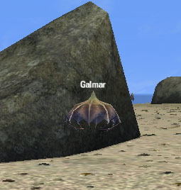 Picture of Galmar