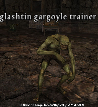 Picture of Glashtin Gargoyle Trainer (Hib)