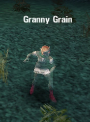 Picture of Granny Grain