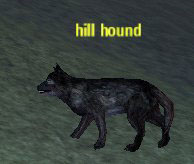 Picture of Hill Hound