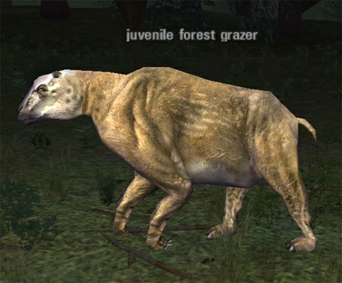 Picture of Juvenile Forest Grazer