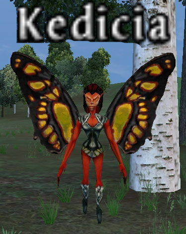 Picture of Kedicia