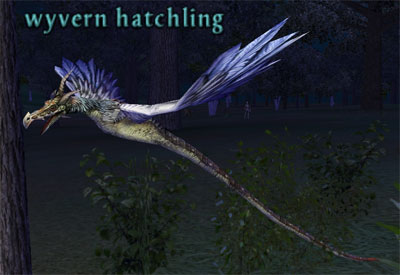 Picture of Wyvern Hatchling