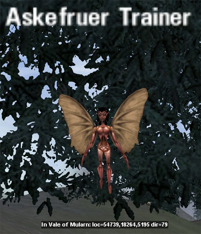 Picture of Askefruer Trainer