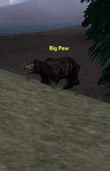 Picture of Big Paw