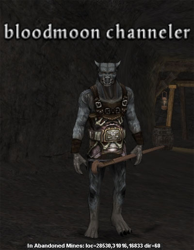 Picture of Bloodmoon Channeler