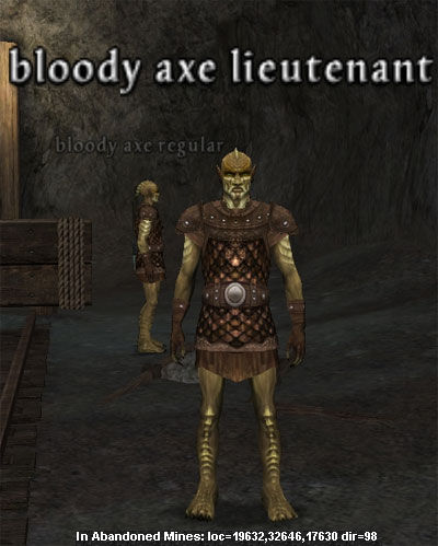 Picture of Bloody Axe Lieutenant