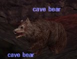 Picture of Cave Bear