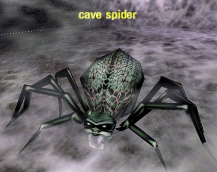 Picture of Cave Spider (NL)