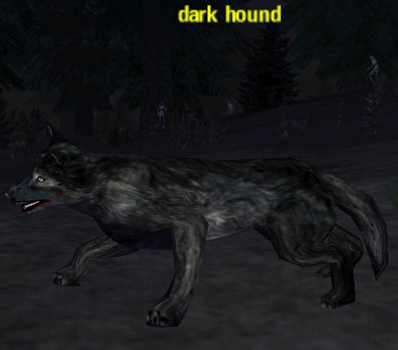 Picture of Dark Hound