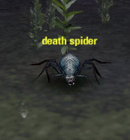 Picture of Death Spider