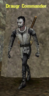 Picture of Draugr Commander