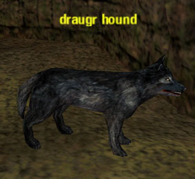 Picture of Draugr Hound