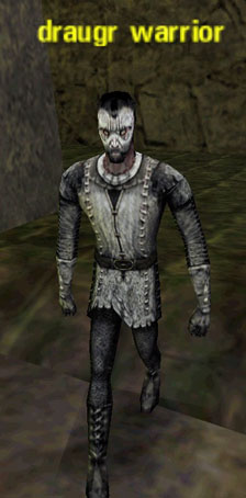Picture of Draugr Warrior