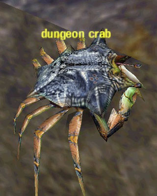 Picture of Dungeon Crab