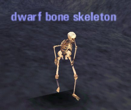 Picture of Dwarf Bone Skeleton