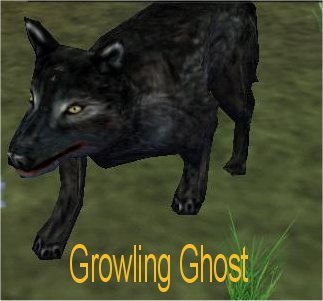 Picture of Growling Ghost