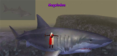 Picture of Megalodon