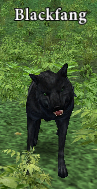 Picture of Blackfang (Hib)