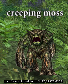 Picture of Creeping Moss