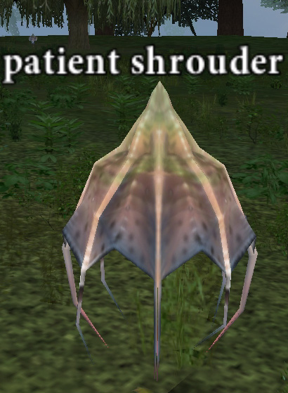 Picture of Patient Shrouder