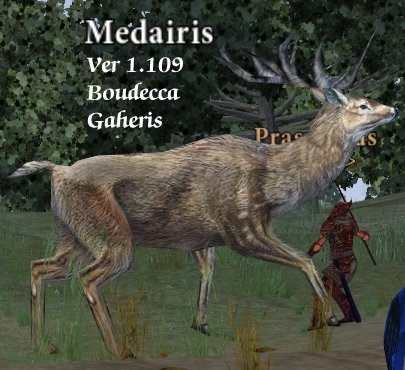 Picture of Medairis